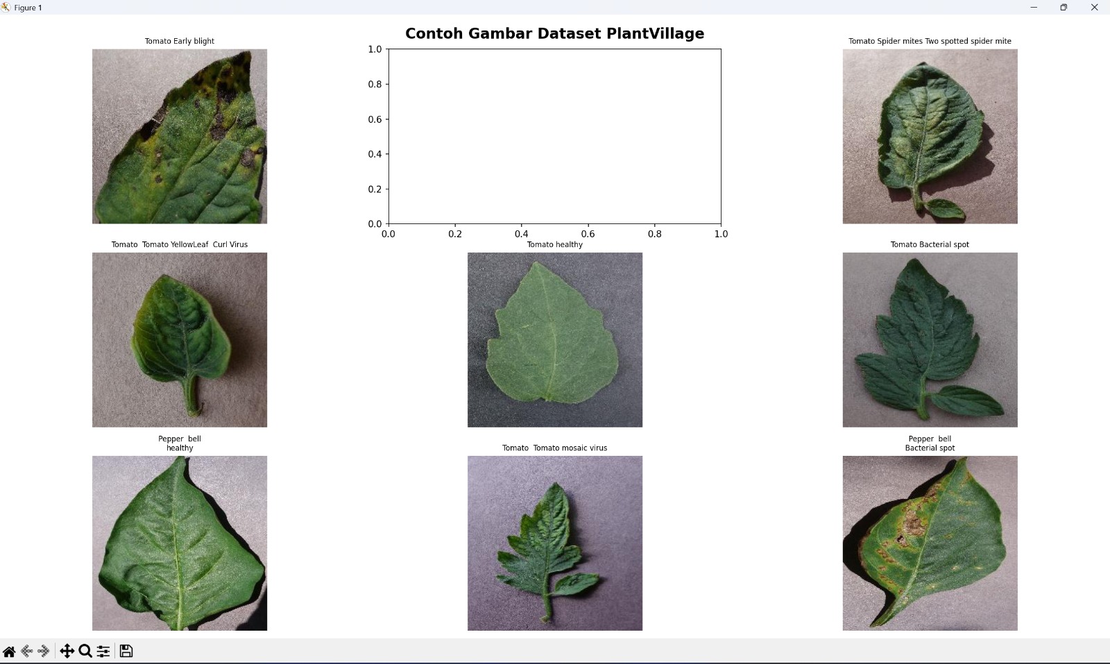 Contoh gambar dari dataset PlantVillage