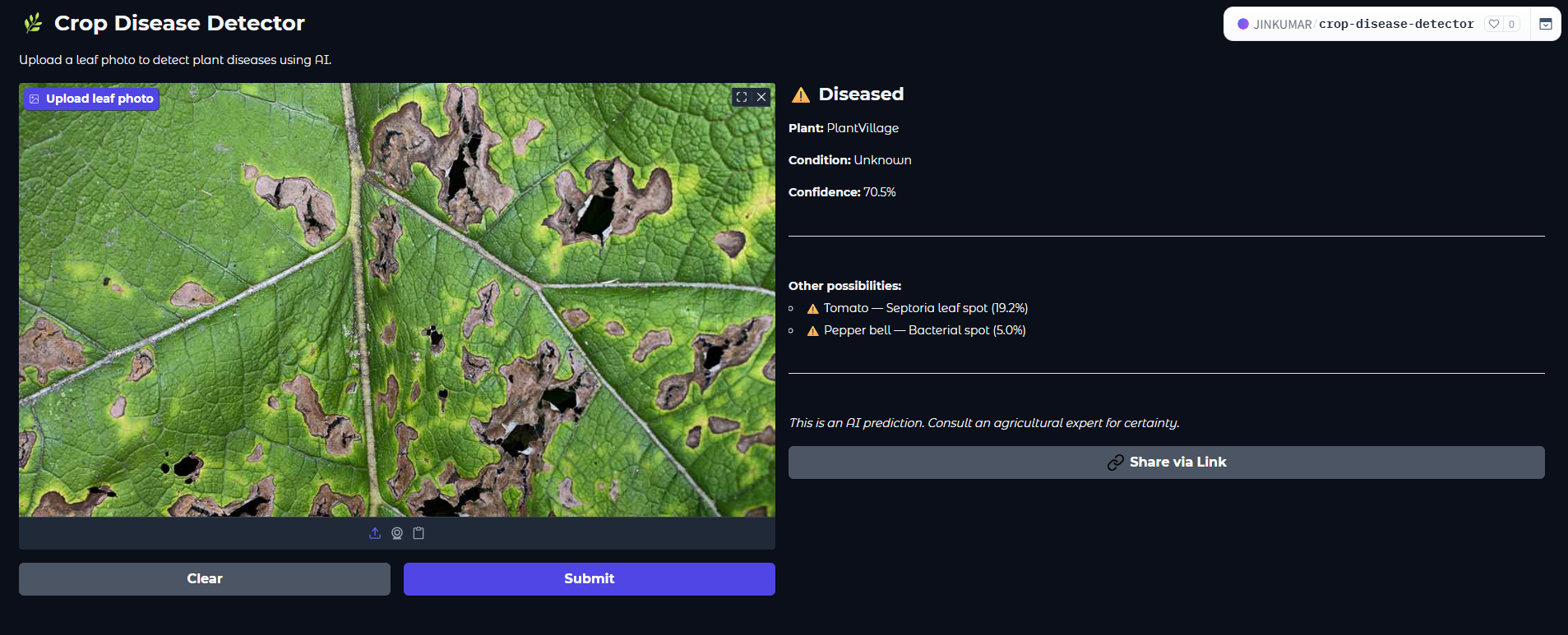 Diseased leaf prediction screenshot