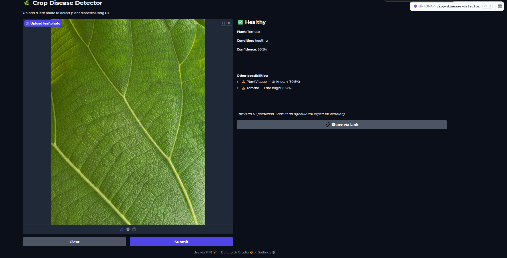 Healthy leaf prediction screenshot